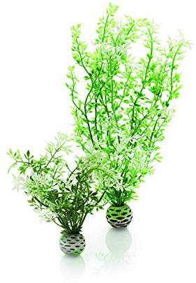 biOrb 46067 Winterblume Set 2, grün - Deko-Set für Aquarien, zwei künstliche Blumen mit weißen Blüten, für Süßwasseraquarium, Meerwasseraquarium