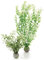 biOrb 46067 Winterblume Set 2, grün - Deko-Set für Aquarien, zwei künstliche Blumen mit weißen Blüten, für Süßwasseraquarium, Meerwasseraquarium