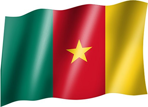 sportfanshop24 Flagge/Fahne KAMERUN Staatsflagge/Landesflagge/Hissflagge mit Ösen 150x90 cm, sehr Gute Qualität