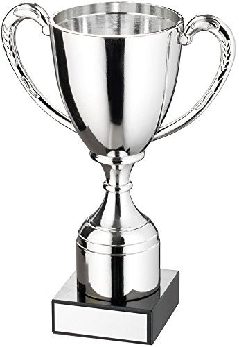 Discounted Trophies Silver Plastic Cup Trophy 6in