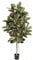 artplants.de Künstlicher Gummibaum Devi, 174 Blätter, weiß - gelb - grün, 180cm - Kunst Gummibaum - Deko Baum
