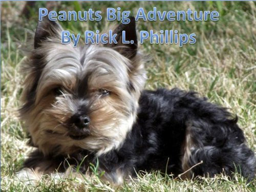 Peanuts Big Adventure (English Edition)