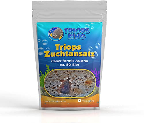Triops King Triops Eier Cancriformis Österreich - Zuchtansatz mit ca. 50 Urzeitkrebs-Eiern im Eier-Sand-Gemisch - Europäische Urzeitkrebse für Räume ab ca. 22 °C