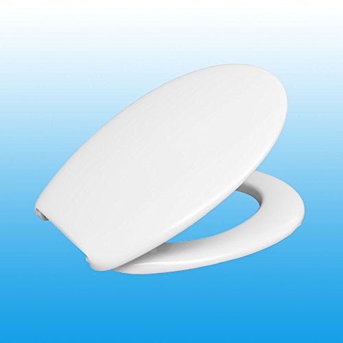 WC-Sitz LAGO für Keramag Duravit Ideal Standard Laufen Villeroy & Boch Edelstahl