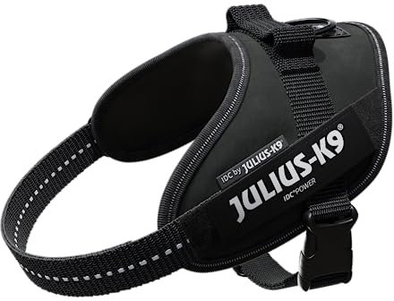 Julius K9 16IDC-P-M IDC-Powergeschirr mit Logofeld, mini schwarz
