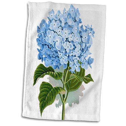3D Rose Blue Hortensie Blumen Vintage Kunst Blumen Zeichnung Sommer Blumen Frühling Antik Bild Handtuch 38,1 x 55,9 cm Mehrfarbig