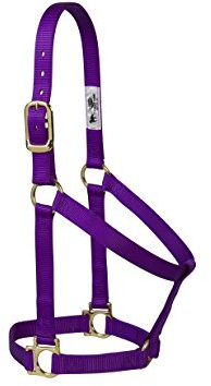 Weaver Leather 35–7404-TU Einfacher unverstellbarer Halfter, 25 mm für kleine Pferde, Türkis, 35-7405-PU, violett, Average Horse