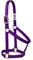 Weaver Leather 35–7404-TU Einfacher unverstellbarer Halfter, 25 mm für kleine Pferde, Türkis, 35-7405-PU, violett, Average Horse