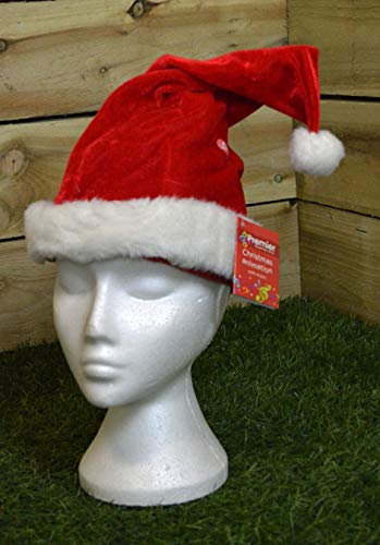 Animated Christmas Santa Hat by Premier