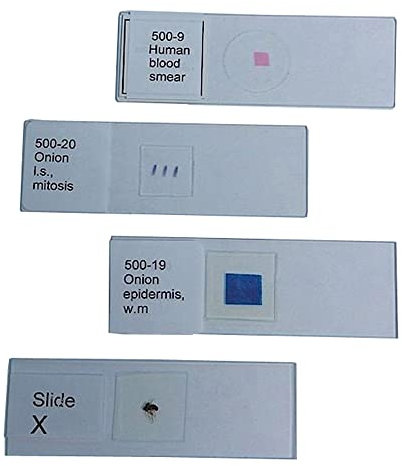 United Scientific Supplies 500-11 Mixed Diatoms, Wm Prepared Microscope Slide