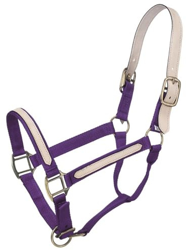 Tough1 Nylon Breakaway Halter - Purple