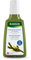 Rausch Meerestang Fett-Stopp Shampoo (sofort lockeres, frisches Haar mit natürlichem Volumen, ohne Silikone und Parabene - Vegan), 1er Pack (1 x 200 ml)