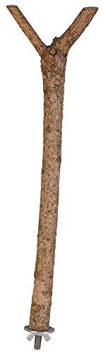 Trixie 5877 Natural Living Sitzstange, Y~Form, 35 cm/ø 18 mm