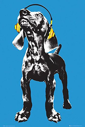 Close Up Keith Kimberlin Poster Dog Headphones (61cm x 91,5cm) + 2 St. Schwarze Posterleisten mit Aufhängung