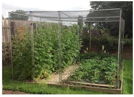 Large Walk-In Aluminium Fruit Cage (1.5m x 6m) - More