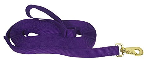 Hamilton 1 Dicke Nylon-Leine für Pferde mit Verschluss, 8 m mit 60-cm-Kette