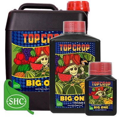 Big One 1 L – Estimulador de floración natural