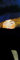 1art1 Gustav Klimt Poster Dame Mit Hut Und Federboa, 1909 Kunstdruck Bild 91x30 cm