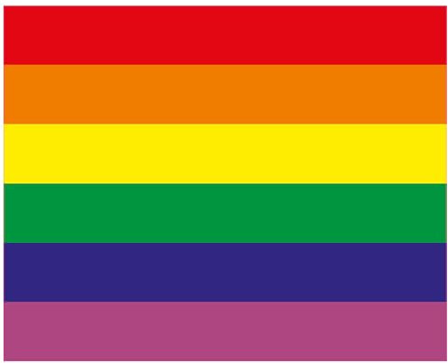 INDIGOS UG Aufkleber Autoaufkleber JDM Die Hart - Gay Pride Rainbow Flag Fahne Regenbogen 127mmx101mm