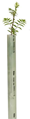 Tubex Easywrap Obstbaumschutz | 60cm | Ø 50-65mm | 10 Stück | hellgrün | Wuchshülle und Verbissschutz speziell für Obstbäume