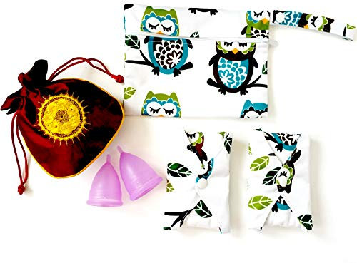 Luna Cup Period Starter Kit 6pcs Set- 1 Small 1 Large Menstrual Cup 1 small Pouch 2 Cloth Pads for Women 1 Wet Bag
