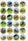 24 PRECUT horse and pony Edible Wafer Paper Round Cake Toppers Decorations