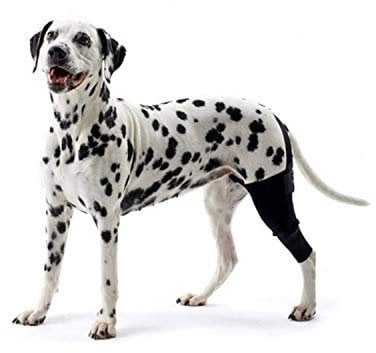 Kruuse Rehab Knie-Schutz für Hunde (X-Large - Rechts) (Schwarz)