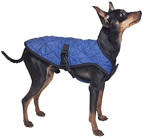 Aqua Coolkeeper Kühlender Hunde-Mantel