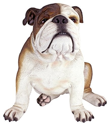 Design Toscano DB383052 Buster the Bulldog British Decor Garden Statue, 41 cm, Polyresin, Full Color, 16 Inch