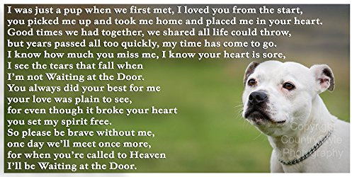 Staffordshire Bull Terrier White Staffy Bereavement pet Dog Loss Sympathy Flexible Fridge Magnet - Waiting at The Door