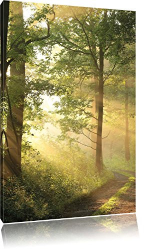 Pixxprint Waldweg im Winter, Größe: 120x80cm, Leinwandbild, fertig gespannt, Wandbild, Dekoration, Kunstdruck, kein Poster