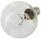 Paxanpax E14 Universal Oven Lamp Bulb, 40 W, 230 V, 300 C, P45