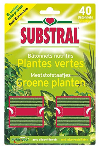 , Nährstoffe für Grünpflanzen – 40, – Substral