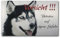 Warnschild Husky aus gebürstetem Aluminium (Verbund)