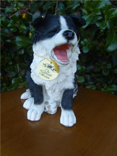 LEONARDO Yawning Border Collie Puppy Collection