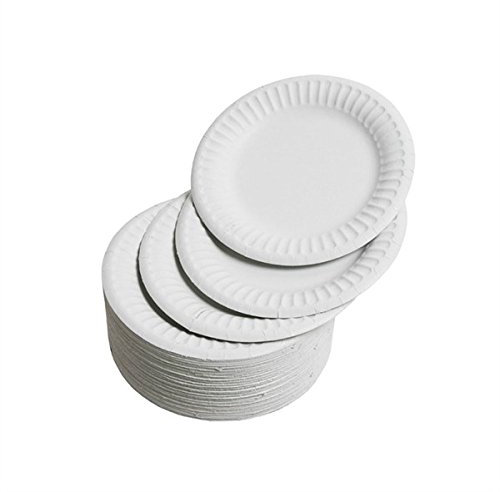 Belgravia 9 Paper Plates 23cm Perfect for Parties & Events (500 Plates)