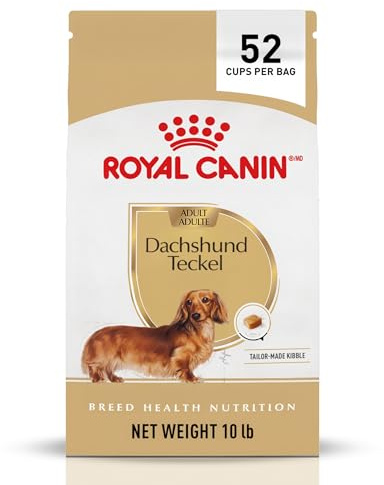 Royal Canin Dry Dog Food, Dachshund Formula, 10-Pound Bag by Royal Canin | Knochen- und Gelenkunterstützung, Gewichtserhaltung, hochverdauliche Proteine für erwachsene Dackel, spezialisierte kleine