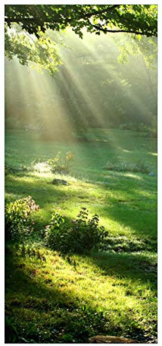 posterdepot Türtapete Türposter Sonnenstrahlen im Wald - Größe 93 x 205 cm, 1 Stück, ktt0012