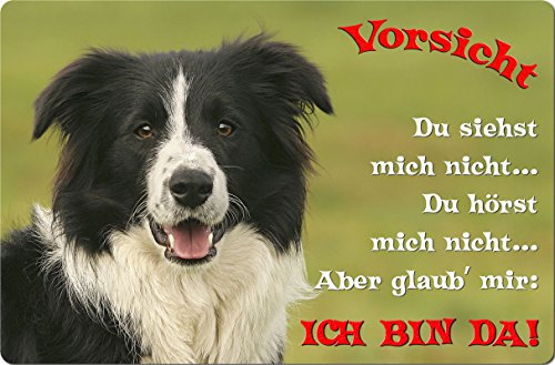 Nanyuk +++ Border Collie - Metall Warnschild Schild Hundeschild Sign - BOC 16 T2