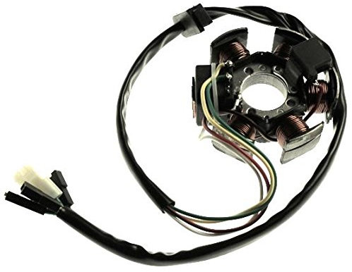 Anker Lichtmaschine kompatibel mit Minarelli AM6 Aprilia RS, RX,SX 50, Derbi Senda, Gilera GSM