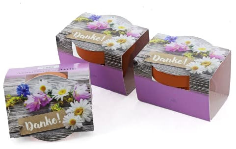 Bull & Bear 3er Set Mini-Pflanzset 'Danke', 3X Blumensamen im Topf 4,5cm, Mini Blumen als Anzuchtset mit Pflegeanleitung