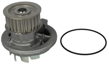 Hepu P316 Wasserpumpe