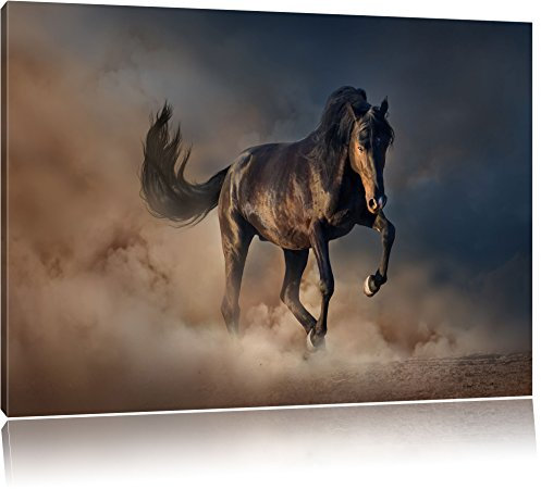 Pixxprint Schwarzes Pferd, Größe: 120x80cm, Leinwandbild, fertig gespannt, Wandbild, Dekoration, Kunstdruck, kein Poster