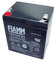 FIAMM 12FGH23 5Ah 12V batteria UPS