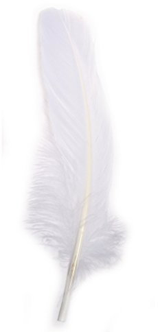 Rayher 85461102 Gänsefeder, 16-20 cm, SB-Btl 8Stück, weiß, Weiss/Opulenter Garten, White