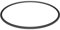 Hayward CX900F Filter Head O-Ring