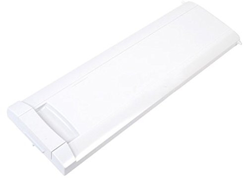 Gorenje RBIU6134W Evaporator Door