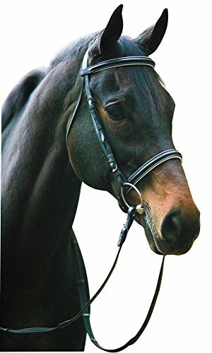 Henri de Rivel Pro Padded Dressage Bridle with Web Reins - Black/White - Cob