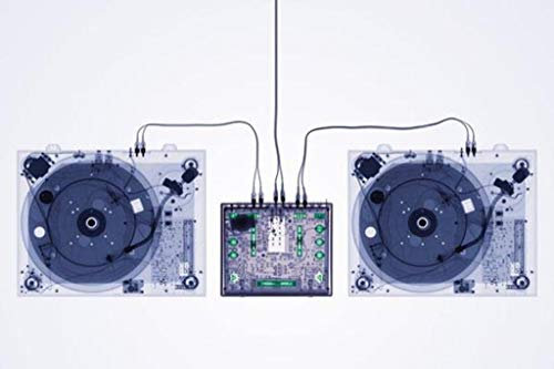 X-Ray Decks Maxi-Poster, mehrfarbig