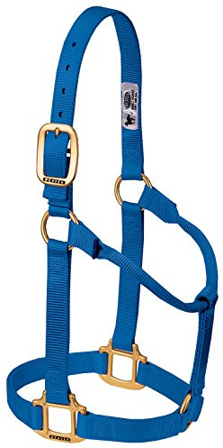 Weaver Leather Original Nylon-Pferdehalfter, Nicht verstellbar, Blau, Entwöhnung/Pony